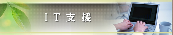 ＩＴシステム導入サポート　ＩＴとは？　愛知県 西加茂郡 税務 申告 司法書士 建設業 許可申請 決算書 開業 金子コンピューター会計